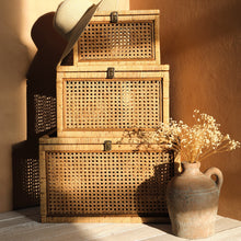 Cargar imagen en el visor de la galería, Jarron con una oreja S