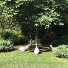 Cargar imagen en el visor de la galería, Gansos de exterior