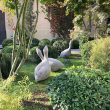 Cargar imagen en el visor de la galería, Gansos de exterior